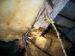 HomeInspection/term.jpg