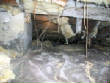 HomeInspection/termi.jpg