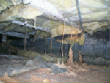 HomeInspection/termites.jpg