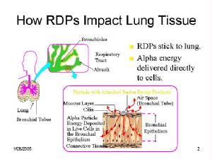 RADON/RDPsintoLung.jpg